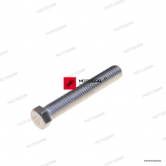 Śruba napinacza łańcucha napędowego Suzuki RM-Z250, RMX450, DL1000 V-Strom, GSF1200 Bandit, GSX1300R Hayabusa [OEM: 0910008287]