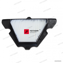 Filtr powietrza Kawasaki Z1000, ZX1000 [OEM: 110130738]