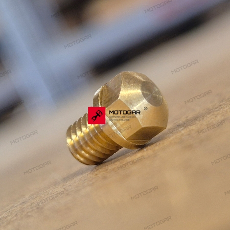 Śruba gaźnika Yamaha XVS125 DragStar, XV250 Virago, XTZ750 SuperTenere, FZR1000, XVZ1300 RoyalStar [OEM: 1HX145650000]