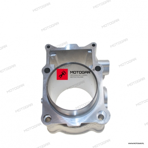 CYLINDER Yamaha YFM450, YXR Rhino [OEM: 5ND113100000]