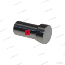 PINSLIDE Harley Davidson, Buell [OEM: 12000093] *