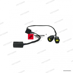 Wiązka lamp przeciwmgielnych Triumph Tiger [OEM: T2503576]