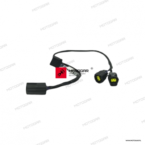 Wiązka lamp przeciwmgielnych Triumph Tiger [OEM: T2503576]