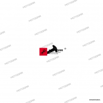 Screw Suzuki [OEM: 0913205050] *