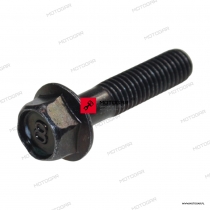 BOLT FLANGE4FM Yamaha [OEM: 958140803500] *