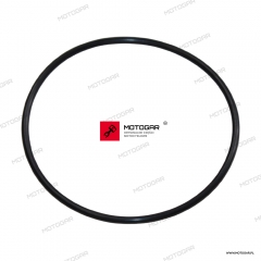 Oring króćca ssącego Triumph Daytona, Sprint, Speed Triple, Tiger [OEM: T3600082]