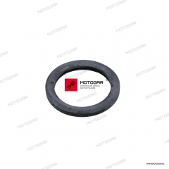 PACKINGFUEL CAP.jpg