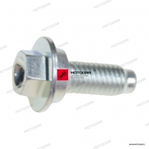 BOLTSTEPPED8X23 Kawasaki [OEM: 921542961] *