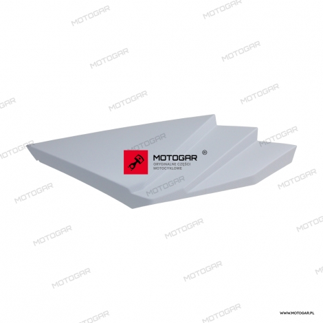 f4pu377g1000.jpg
