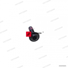 Śruba ogranicznika stopki centralnej Ducati DesertX [OEM: 71850373CA]