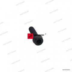 Śruba górnej półki zawieszenia Ducati Diavel [OEM: 77157263B]