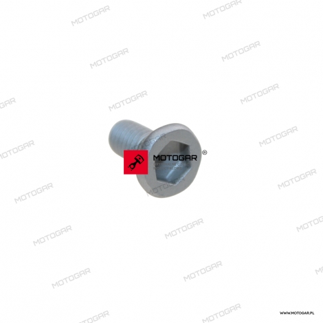 Śruba tarczy hamulcowej M6x1,00 - 14mm Yamaha YZ65, YZ85, YZ125, YZ250, WR250, YZ450F, WR450F [OEM: 901510607900]