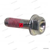 SCREW TEF M5X16 Ducati [OEM: 77210621A] *
